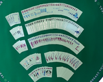 The Mountain Line: Sage Green Mahjong Travel Cards