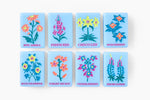 The Mountain Line: Sky Blue Mahjong Tiles