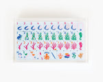 Lucite Display Box
