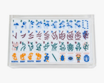Lucite Display Box