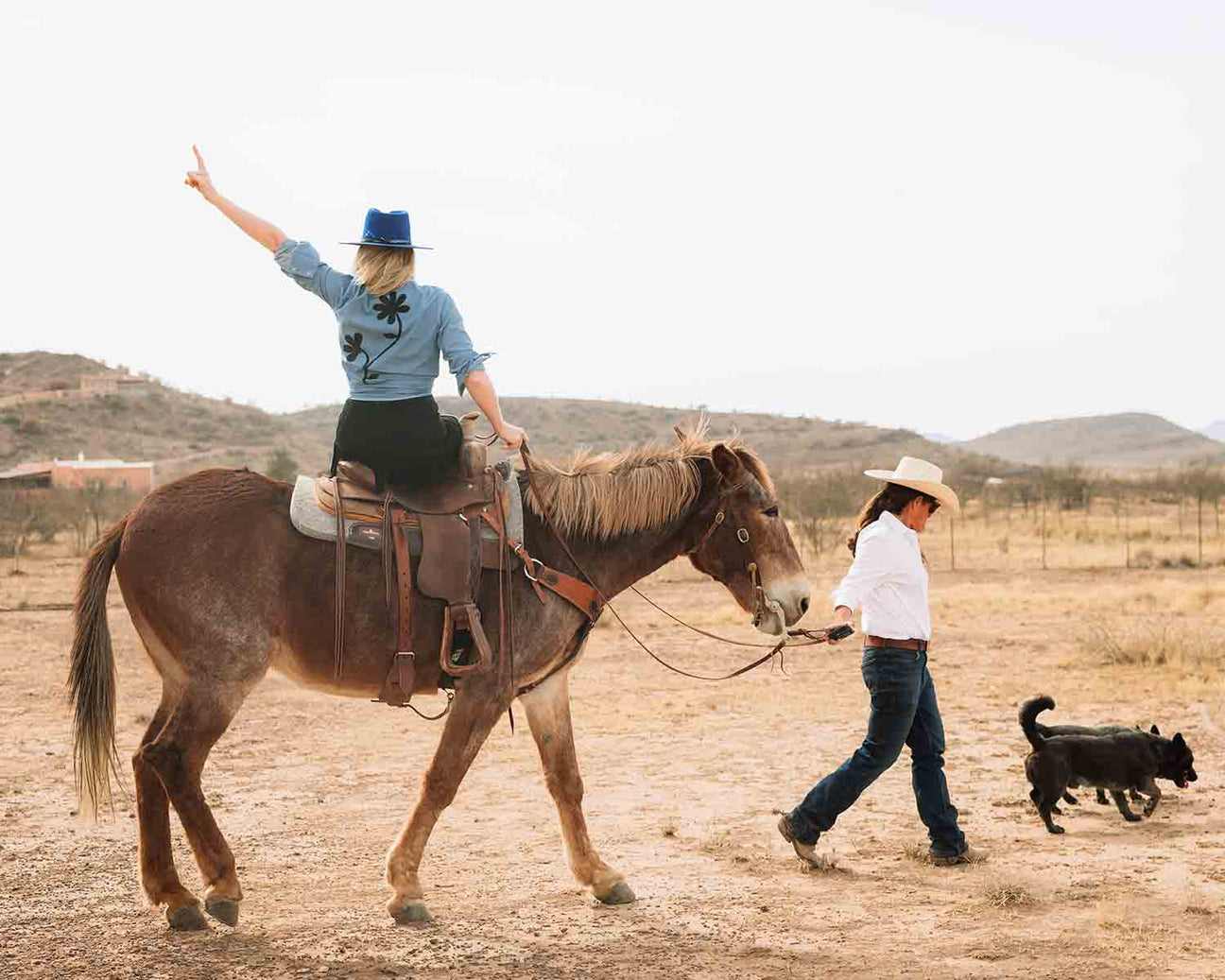 Lookbook: The Ranch Line– The Mahjong Line